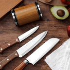 BladeOrbit rolling sharpener countertop knife-care setup
